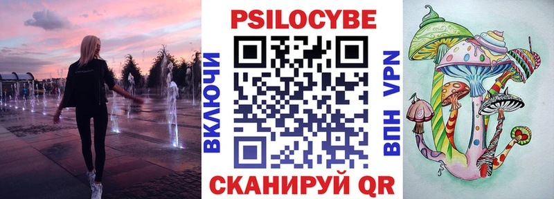 hydra   где найти   Пласт  Псилоцибиновые грибы Magic Shrooms 